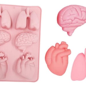 MOLDE SILICONA CEREBRO CORAZON PULMONES